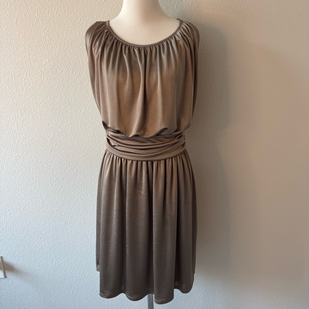 Express Taupe Midi Dress